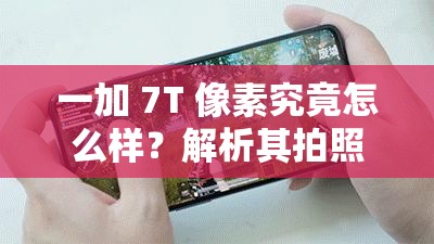 一加 7T 像素究竟怎么样？解析其拍照效果与像素表现有多出色