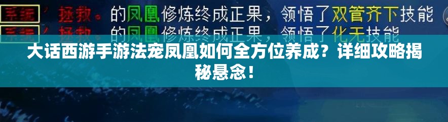 大话西游手游法宠凤凰如何全方位养成？详细攻略揭秘悬念！