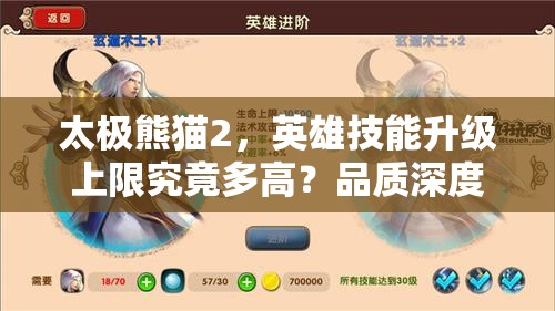 太极熊猫2，英雄技能升级上限究竟多高？品质深度又有何奥秘？