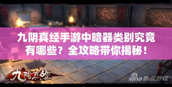 九阴真经手游中暗器类别究竟有哪些？全攻略带你揭秘！