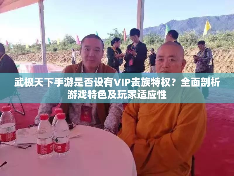 武极天下手游是否设有VIP贵族特权？全面剖析游戏特色及玩家适应性