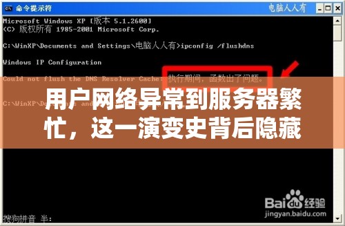 用户网络异常到服务器繁忙，这一演变史背后隐藏了哪些未解之谜？