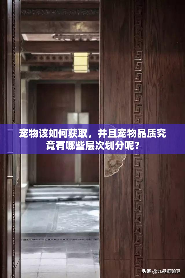 宠物该如何获取，并且宠物品质究竟有哪些层次划分呢？