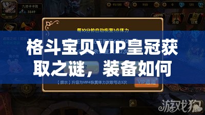 格斗宝贝VIP皇冠获取之谜，装备如何强化加成才能轻松夺得？