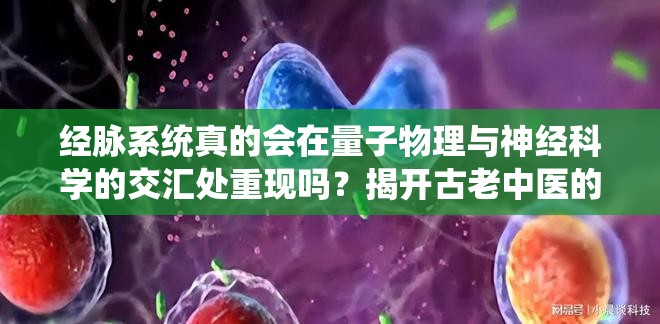 经脉系统真的会在量子物理与神经科学的交汇处重现吗？揭开古老中医的现代科学之谜