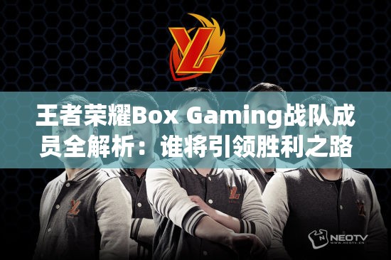 王者荣耀Box Gaming战队成员全解析：谁将引领胜利之路？